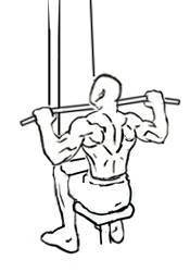 Lat Pulldown