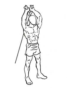 Cable Rope Overhead Triceps Extension