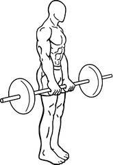 Barbell Deadlift