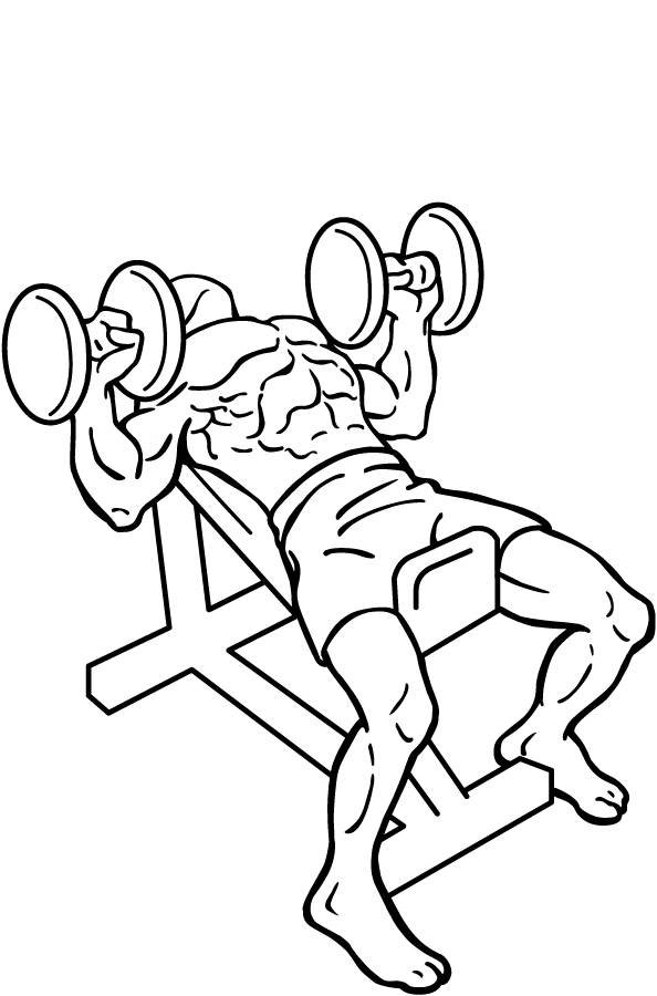 Incline dumbbell bench press instructions and video