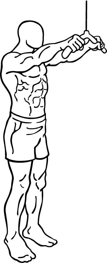 Straight Arm Pulldown