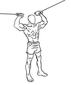 Overhead Cable Curl