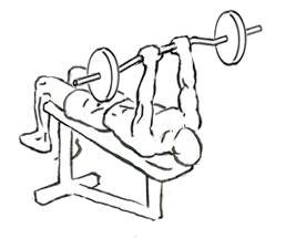 EZ Bar Decline Skillcrusher