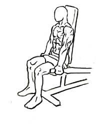 Tricep Dips Machine