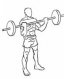 Barbell Curl