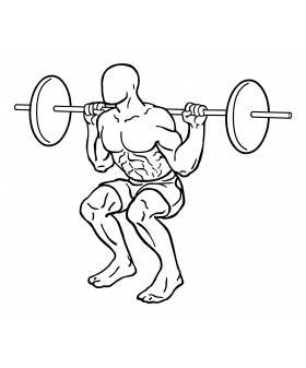 Back Barbell Squat