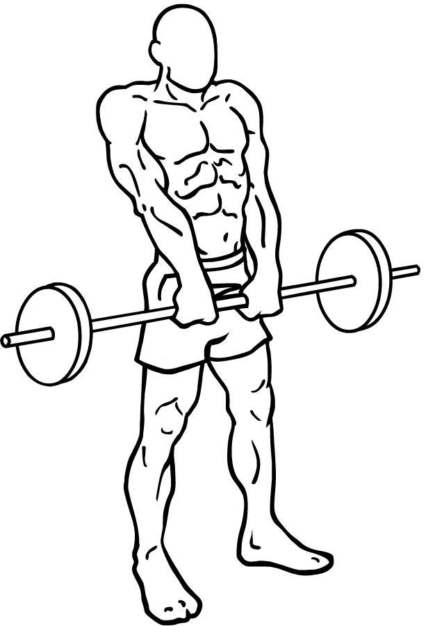 Barbell Shrug