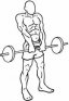 Barbell Shrug