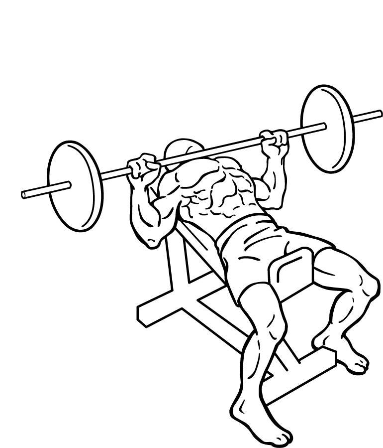 Incline Bench Press