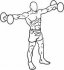 Side Lateral Raise