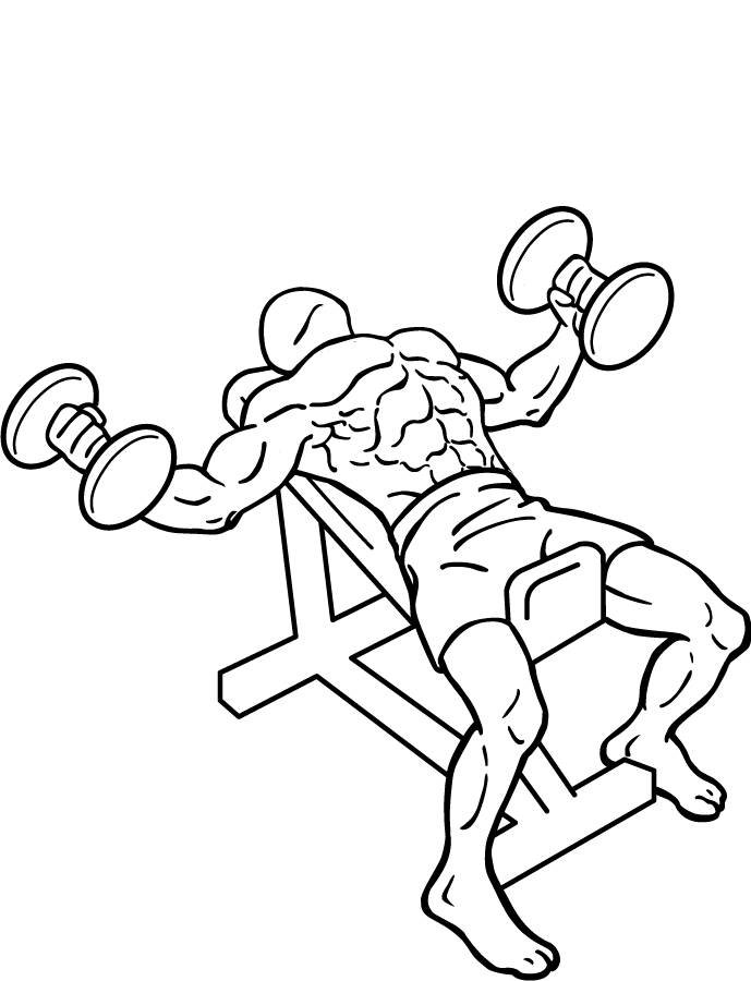 Incline Dumbbell Flyes