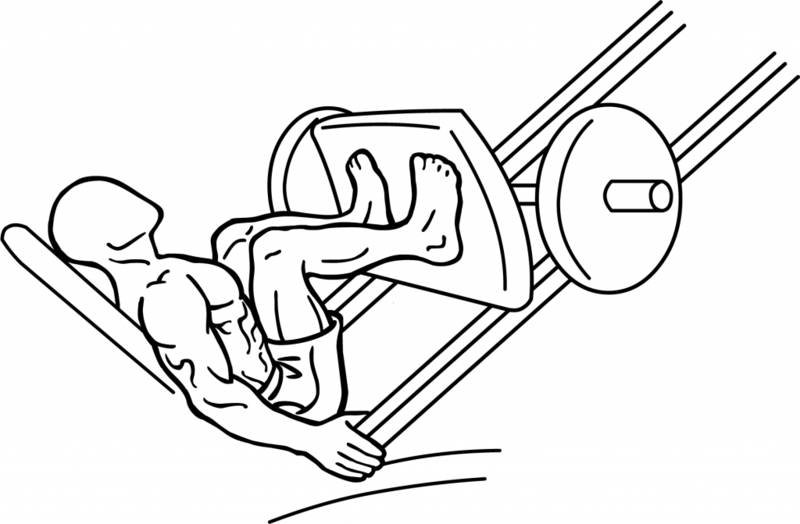 Leg Press