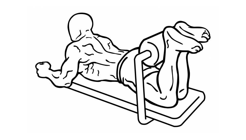 Lying leg curl exercise instructions and video