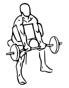 Preacher Curls