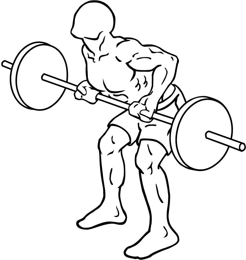 Reverse Bent Over Row