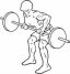 Reverse Bent Over Row