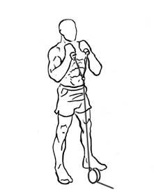 Cable Hammer Curls