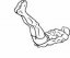 Lying Leg Raise