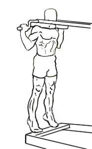 Standing Calf Raise