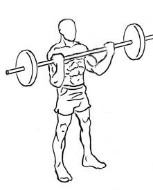Reverse Barbell Curl