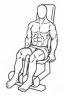 Seated Leg Curl