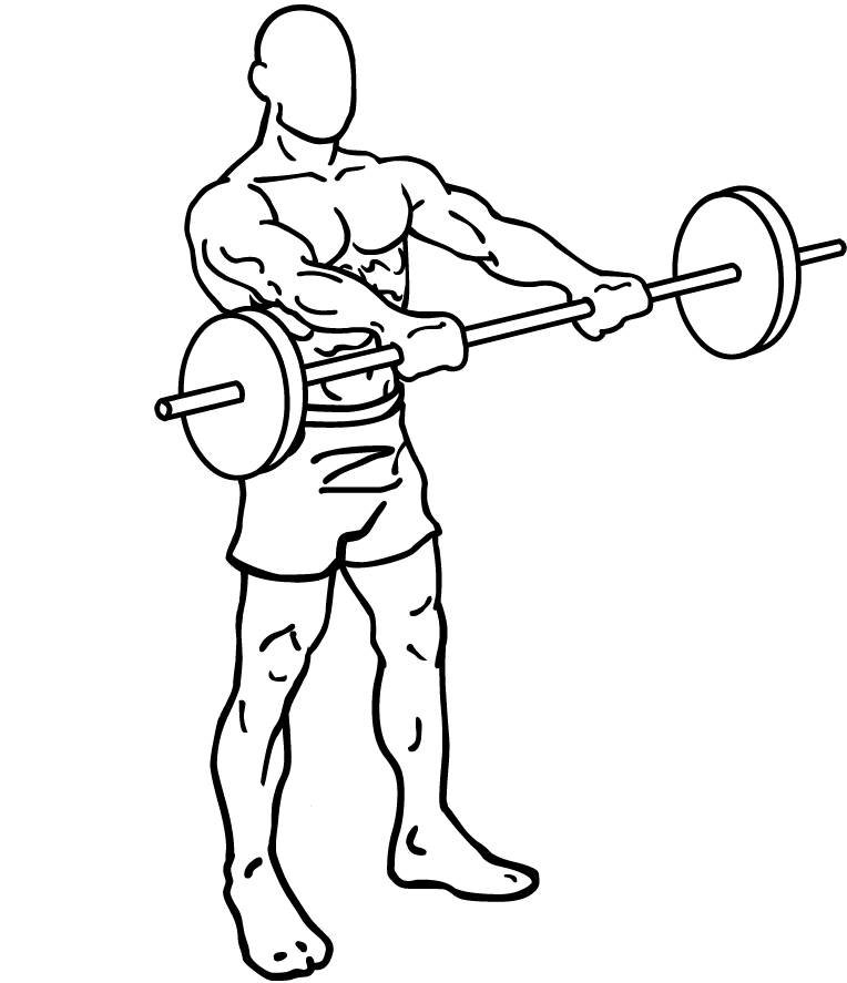 Front Barbell Raise