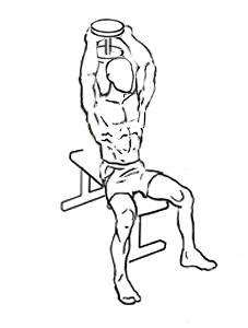 Seated Tricep Press